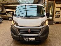 Gebraucht Fiat Ducato 120 PS (88 kW) 2020 Weiß Van