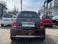 gebraucht Fiat 500C Collezione Bi-Color Navi PDC hinten Alu 16"