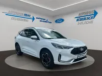 Neu Ford Kuga ST-Line X 242 PS (177 kW) 2026 Weiß SUV