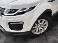 Gebraucht Land Rover Range Rover evoque 150 PS (110 kW) 2019 Weiß SUV
