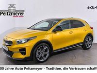Gebraucht Kia XCeed Platinum Edition 204 PS (150 kW) 2020 Andere SUV