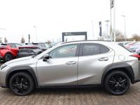 Gebraucht Lexus UX 184 PS (135 kW) 2021 Grau SUV
