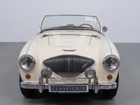 Brugt Austin Healey 100 90 HK (66 kW) 1954 Hvid Cabriolet