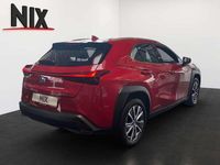 Gebraucht Lexus UX 300e 150 kW (204 PS) 2021 Glutrot SUV