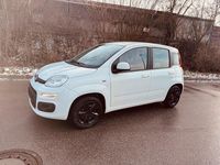 Gebraucht Fiat Panda Lounge 86 PS (63 kW) 2017 Weiß Kleinwagen