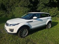 Gebraucht Land Rover Range Rover evoque HSE 150 PS (110 kW) 2017 Weiß SUV