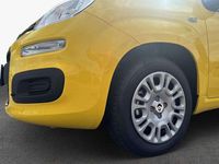 Neu Fiat Panda 69 PS (50 kW) 2025 Positano gelb Kleinwagen