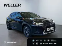 Gebraucht Lexus UX 250h 184 PS (135 kW) 2022 Graphitschwarz SUV