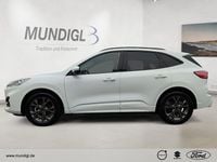 Gebraucht Ford Kuga ST-Line X 152 PS (111 kW) 2023 Weiß SUV