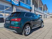 Gebraucht Audi Q5 S-Line 190 PS (139 kW) 2019 Azoren grün SUV