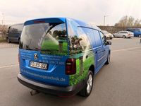 Gebraucht VW Caddy 150 PS (110 kW) 2016 Grau Van / Kleinbus