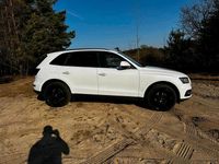 Gebraucht Audi Q5 177 PS (130 kW) 2014 Weiß SUV