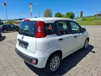 Usado Fiat Panda Easy 69 HP (50 kW) 2019 Branco Citadino