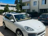 Gebraucht Porsche Cayenne Platinum Edition 245 PS (180 kW) 2014 Weiß SUV