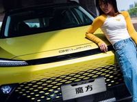 Gebraucht Baic X55 177 PS (130 kW) 2023 Grau SUV