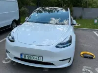 Brugt Tesla Model Y Performance 392 kW (534 HK) 2024 Hvid SUV