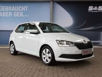 gebraucht Skoda Fabia 1.0 MPI Ambition TEMP/SITZHZG/PDC