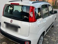 Gebraucht Fiat Panda 69 PS (50 kW) 2012 Weiß Kleinwagen