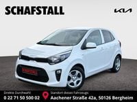 Gebraucht Kia Picanto Vision 67 PS (49 kW) 2024 Weiss ((ud) schneeweiss) Kleinwagen