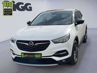 gebraucht Opel Grandland X Design Line Alu KAM Klimatronic SHZ