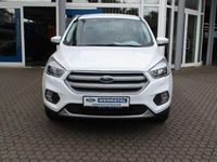 Gebraucht Ford Kuga Trend 120 PS (88 kW) 2019 Frozen white SUV