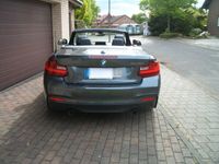 gebraucht BMW M240 xDrive Cabrio Navi Leder Harman/Kardon