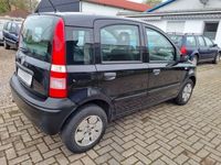 gebraucht Fiat Panda 1.1 | CITY Lenkung | BC | SV | TÜV 12.2025