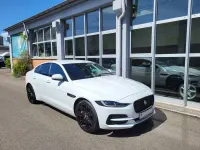 Gebraucht Jaguar XE SE 204 PS (150 kW) 2023 Weiß Limousine