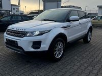 Gebraucht Land Rover Range Rover evoque Pure 150 PS (110 kW) 2013 Weiß SUV