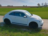 gebraucht VW Beetle Beetle The1.2 TSI
