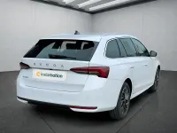 Neu Skoda Octavia 150 PS (110 kW) 2026 Weiß Kombi