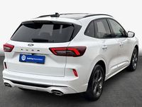Gebraucht Ford Kuga ST-Line X 186 PS (136 kW) 2024 Weiß SUV