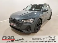 Gebraucht Audi e-tron Exclusive 300 kW (408 PS) 2022 Individuallackierungen audi exclusive SUV