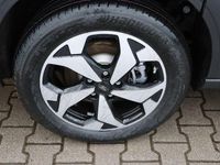 Neu Ford Tourneo Active 150 PS (110 kW) 2026 Graphite grey metallic Van / Kleinbus