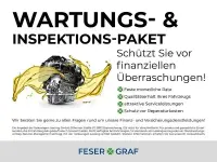 Neu Cupra Terramar 150 PS (110 kW) 2026 Violett SUV