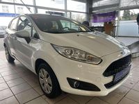 Gebraucht Ford Fiesta Trend 80 PS (58 kW) 2016 Weiß Kleinwagen