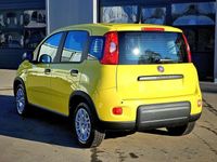 Gebraucht Fiat Panda 69 PS (50 kW) 2024 Gelb Kleinwagen