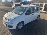 Nowe Fiat Panda Icon 69 KM (50 kW) 2025 Biały Kombi
