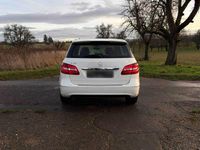 Gebraucht Mercedes B180 122 PS (89 kW) 2014 Weiß Van / Kleinbus