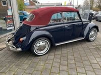 gebraucht VW Käfer KäferCabrio 1500 perfekte Restaurierung blau