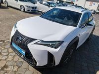 Gebraucht Lexus UX 250h 152 PS (111 kW) 2021 Weiß SUV
