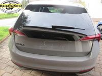 Neu Skoda Scala Selection 150 PS (110 kW) 2025 Kleinwagen