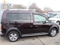 gebraucht VW Caddy Alltrack 2.0 TDI SCR'AZV,GRA'