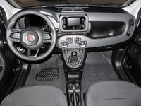Gebraucht Fiat Panda 69 PS (50 kW) 2025 Kleinwagen