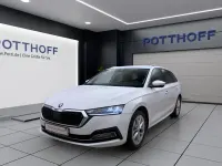 Gebraucht Skoda Octavia Style 116 PS (85 kW) 2023 Candyweiss Kombi