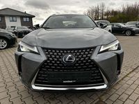 gebraucht Lexus UX 250h Hybrid Luxury Line*Nachlackierungsfrei