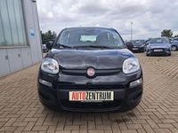 Neu Fiat Panda 69 PS (50 kW) 2025 Schwarz Kleinwagen