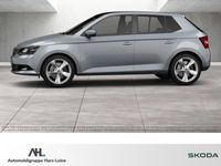 gebraucht Skoda Fabia 1.2 TSI Joy DSG Klima GRA PDC SHZ Bluetooth