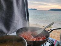 Second-hand Ford Transit 2010 Alb Monovolum