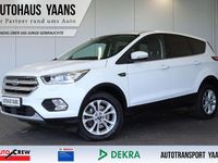 Gebraucht Ford Kuga Titanium 150 PS (110 kW) 2019 Weiß SUV